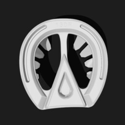EasyShoe 3D