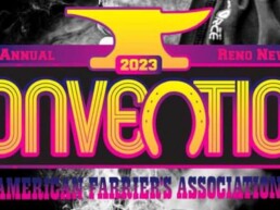 AFA Convention 2023