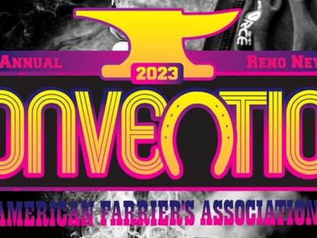 AFA Convention 2023